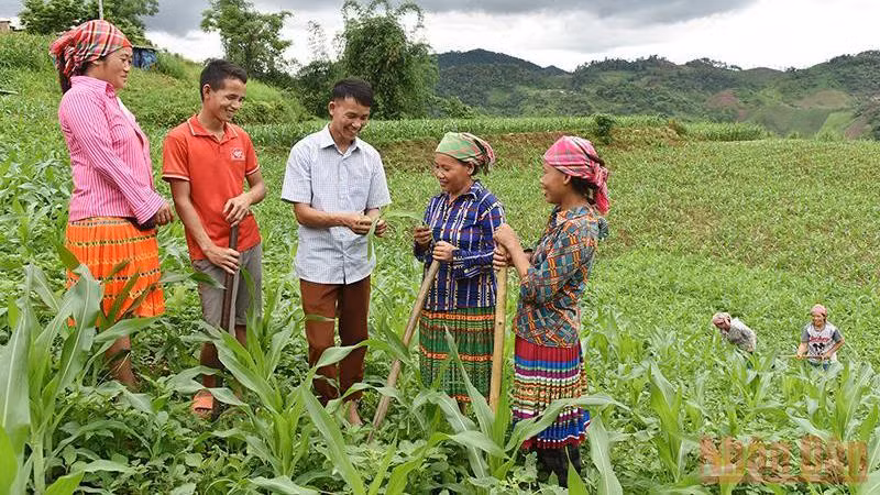 Hướng dẫn người dân bản Tà Han, xã Xuân Lạc, huyện Chợ Đồn, Bắc Kạn, trồng ngô năng suất cao. (Ảnh: Trần Hải)