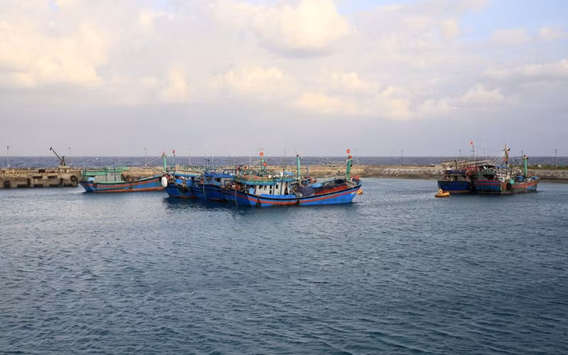 Âu tàu tránh trú trên đảo Trường Sa. Âu tàu tránh trú trên đảo Trường Sa.