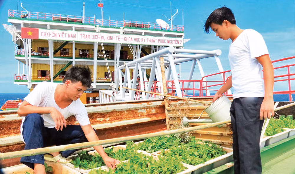 Chiến sĩ Nhà giàn Phúc Nguyên 2 chăm sóc những bồn rau xanh. Ảnh: MAI THẮNG Chiến sĩ Nhà giàn Phúc Nguyên 2 chăm sóc những bồn rau xanh. Ảnh: MAI THẮNG