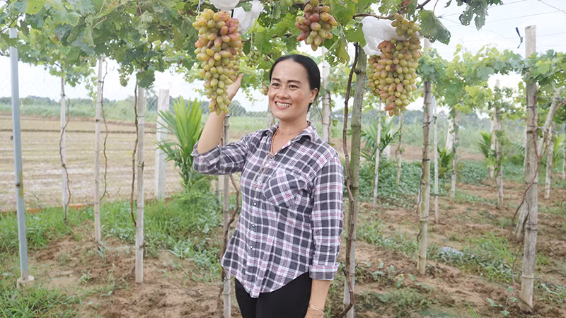 Chị Nguyễn Thị Khỏe chụp ảnh lưu niệm khi đến tham quan, trải nghiệm tại vườn nho.