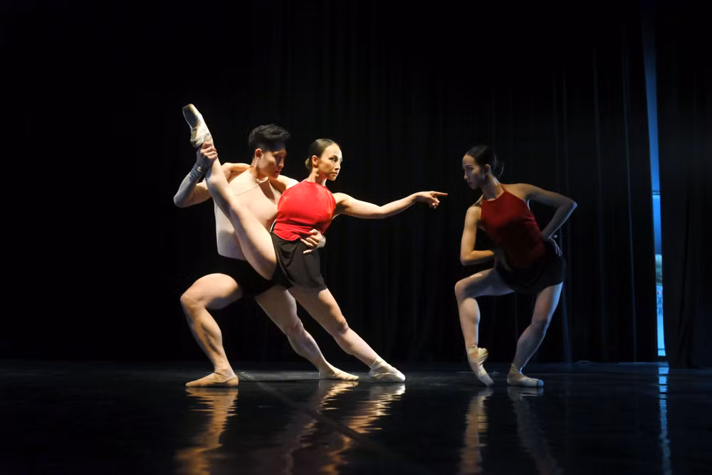 Vở diễn tôn vinh vẻ đẹp của tranh dân gian Đông Hồ qua ngôn ngữ của nghệ thuật ballet kết hợp múa dân gian và múa đương đại. (Ảnh VNOB)