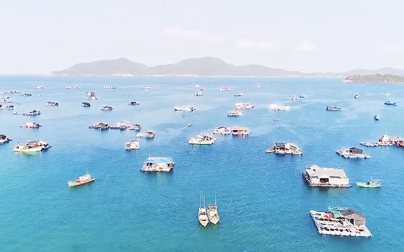  Nuôi cá lồng bè ở ấp Bãi Chướng, xã Hòn Nghệ, huyện Kiên Lương.