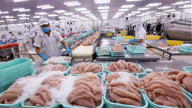 Xuất khẩu thủy sản đang gặp nhiều khó khăn.