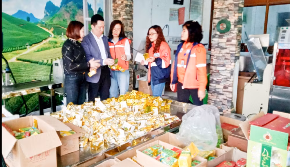 Cán bộ Công ty Núi Pháo tư vấn cho Hợp tác xã chè Nhật Thức cải thiện mẫu mã, đóng gói.