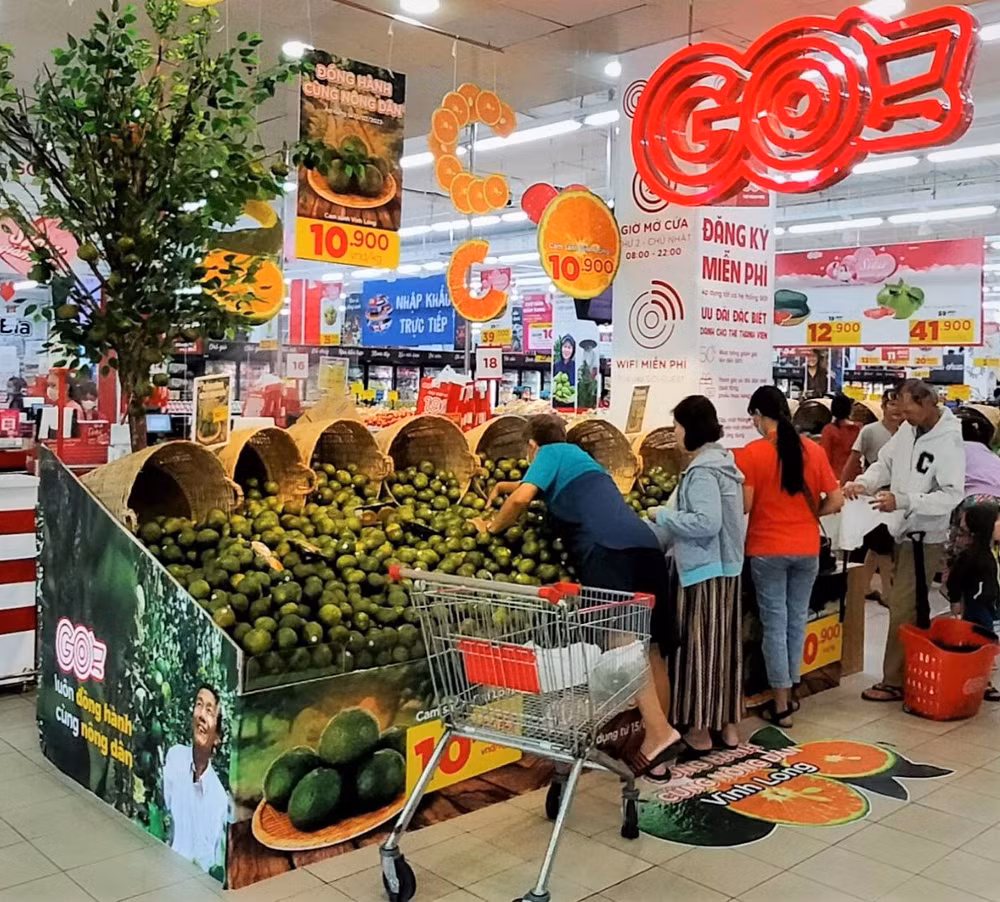Với giá bán hấp dẫn, cam sành Vĩnh Long khi vừa lên kệ siêu thị GO! đã hút khách ghé mua.