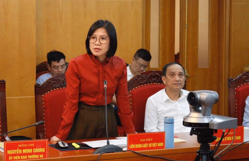Đại diện Liên đoàn Luật sư Việt nam tham luận. Đại diện Liên đoàn Luật sư Việt nam tham luận.