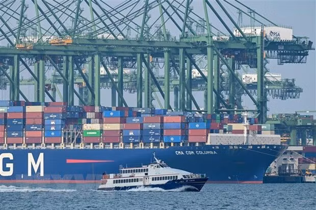 Tàu container tại cảng Pasir Panjang, Singapore. (Ảnh: AFP/TTXVN)