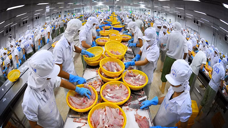 Thủy sản là một trong những mặt hàng thế mạnh của Việt Nam tại thị trường CPTPP.