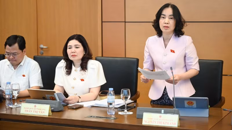 Đại biểu Nguyễn Thị Kim Anh (Bắc Ninh) phát biểu. (Ảnh: DUY LINH)