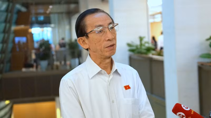 Đại biểu Trần Hoàng Ngân (Thành phố Hồ Chí Minh). (Ảnh: TRUNG HƯNG)