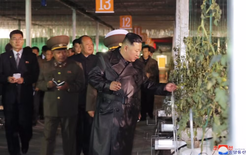 Nhà lãnh đạoTriều Tiên Kim Jong Un thăm quan các nhà kính. Ảnh: KCNA Nhà lãnh đạoTriều Tiên Kim Jong Un thăm quan các nhà kính. Ảnh: KCNA