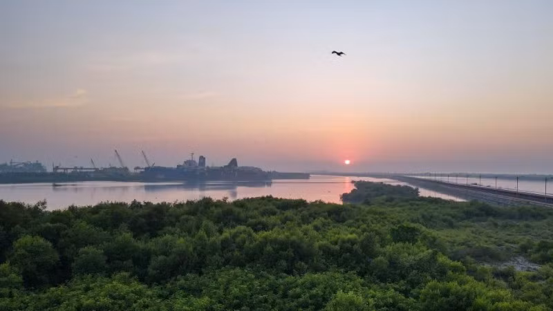 Quang cảnh rừng ngập mặn ở khu vực ven biển gần dự án "Java 7" ở Serang, tỉnh Banten, Indonesia. (Ảnh minh họa: Xinhua) 