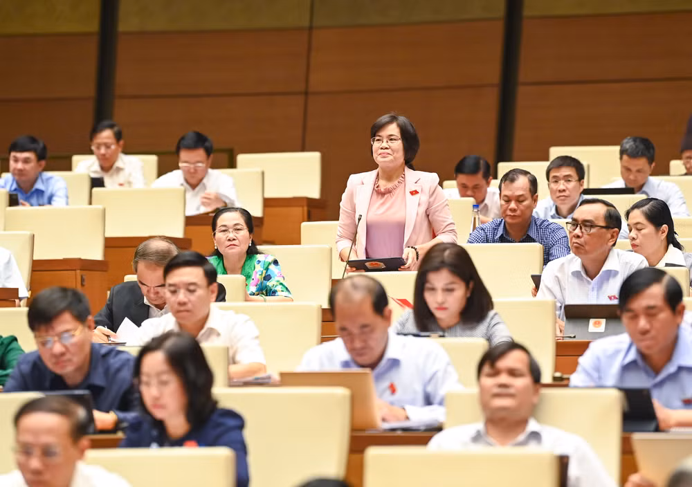 Đại biểu Nguyễn Thị Hồng Hạnh (Thành phố Hồ Chí Minh) phát biểu. (Ảnh: DUY LINH) Đại biểu Nguyễn Thị Hồng Hạnh (Thành phố Hồ Chí Minh) phát biểu. (Ảnh: DUY LINH)