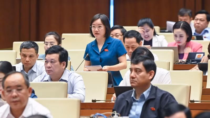 Đại biểu Thái Thị An Chung (Nghệ An) đóng góp ý kiến tại phiên họp. (Ảnh: DUY LINH)
