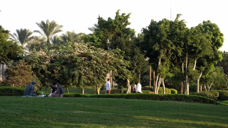 Mảng xanh tại Công viên Al-Azhar ở Cairo, Ai Cập. (Ảnh minh họa: Xinhua) 