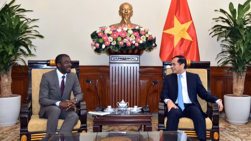 Phó Thủ tướng, Bộ trưởng Ngoại giao Bùi Thanh Sơn tiếp Giám đốc Trung tâm Di sản thế giới của UNESCO Lazare Eloundou Assomo. (Ảnh: Báo Thế giới và Việt Nam)