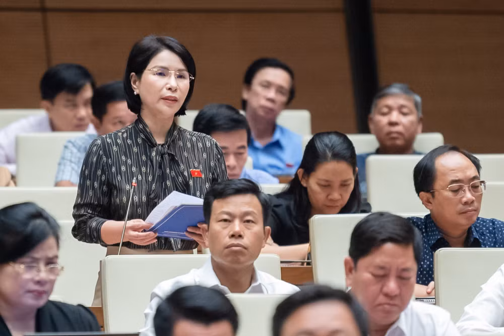 Đại biểu Trần Thị Nhị Hà (Hà Nội) phát biểu. (Ảnh: quochoi.vn) Đại biểu Trần Thị Nhị Hà (Hà Nội) phát biểu. (Ảnh: quochoi.vn)