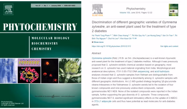 Kết quả nghiên cứu của TS Hoàng Minh Châu trên tạp chí khoa học Phytochemistry.