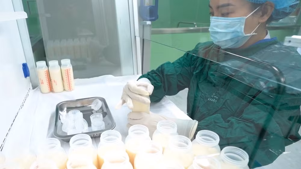 Trữ sữa mẹ hiến tặng tại một ngân hàng sữa mẹ. (Ảnh: TTXVN) Trữ sữa mẹ hiến tặng tại một ngân hàng sữa mẹ. (Ảnh: TTXVN)