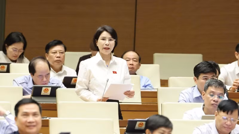 Đại biểu Trần Thị Nhị Hà, Đoàn đại biểu Quốc hội thành phố Hà Nội. (Ảnh: DUY LINH) Đại biểu Trần Thị Nhị Hà, Đoàn đại biểu Quốc hội thành phố Hà Nội. (Ảnh: DUY LINH)