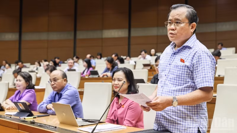Đại biểu Nguyễn Tâm Hùng (Bà Rịa-Vũng Tàu) phát biểu. (Ảnh: DUY LINH) 