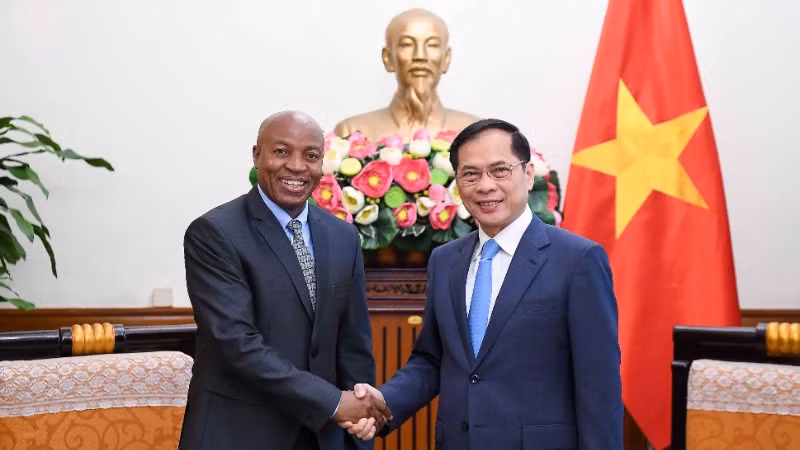 Phó Thủ tướng, Bộ trưởng Ngoại giao Bùi Thanh Sơn tiếp Thứ trưởng Ngoại giao và Hợp tác Đông Phi Tanzania Cosato David Chumi.