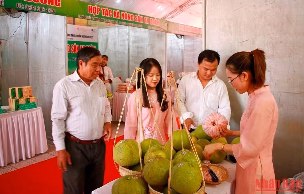 Giới thiệu sản phẩm bưởi đỏ, bưởi thanh trà của các hợp tác xã nông nghiệp trên địa bàn.