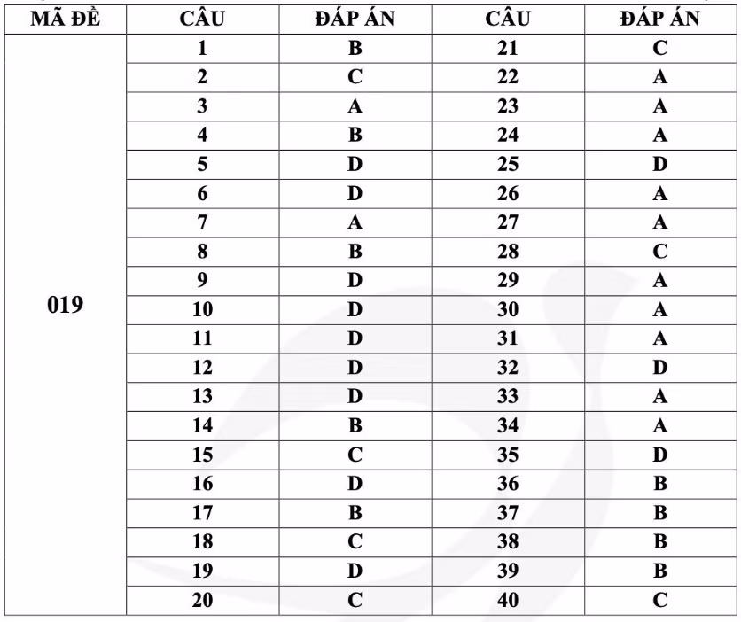 Gợi ý đáp án mã đề 019 Gợi ý đáp án mã đề 019