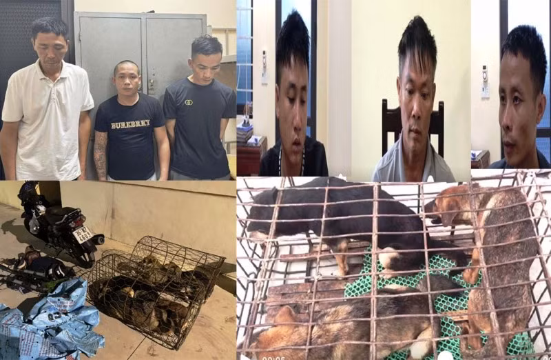 Các đối tượng cùng tang vật vụ án bắt trộm, tiêu thụ chó. Các đối tượng cùng tang vật vụ án bắt trộm, tiêu thụ chó.