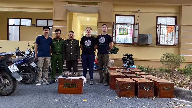 Đại diện SVW phối hợp lực lượng chức năng thực hiện giao nhận các cá thể tê tê.