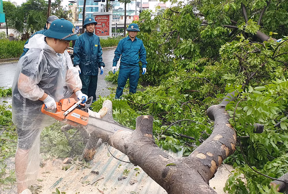 Khắc phục hậu quả sau bão tại phường Quan Hoa (Cầu Giấy, Hà Nội). Ảnh: MINH NAM