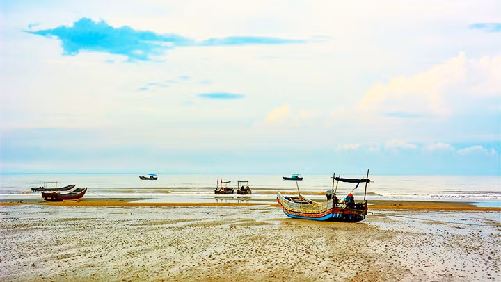 Bình minh Trà Cổ