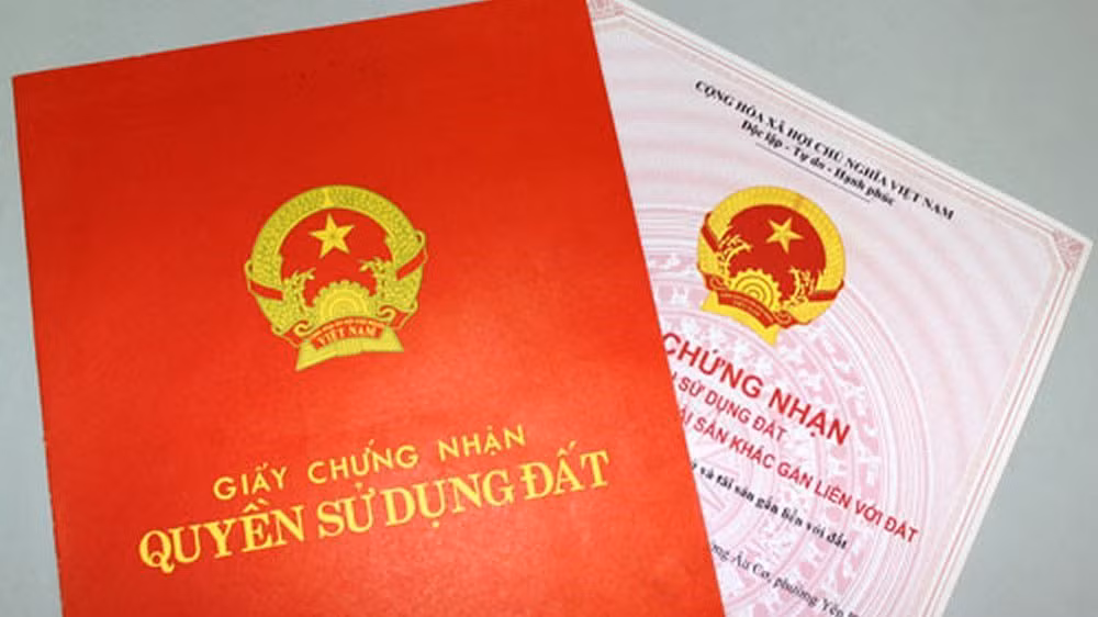 Ảnh minh họa. (Nguồn: Chinhphu.vn)