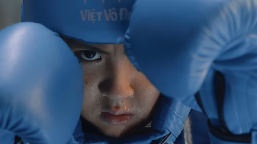 Phim kỷ niệm 35 năm thành lập của FPT được lấy chủ đề từ Vovinam.