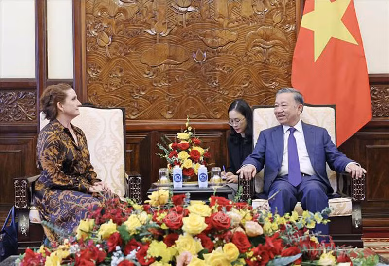 Chủ tịch nước Tô Lâm tiếp Đại sứ New Zealand tại Việt Nam Caroline Beresford. (Ảnh: TTXVN) Chủ tịch nước Tô Lâm tiếp Đại sứ New Zealand tại Việt Nam Caroline Beresford. (Ảnh: TTXVN)