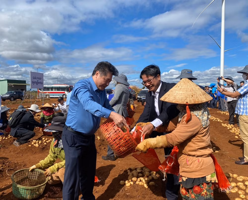 Ông Lê Quốc Thanh, Giám đốc trung tâm Khuyến nông Quốc gia tham gia thu hoạch khoai tây tại xã Bàu Cạn, huyện Chư Prông, tỉnh Gia Lai. Ông Lê Quốc Thanh, Giám đốc trung tâm Khuyến nông Quốc gia tham gia thu hoạch khoai tây tại xã Bàu Cạn, huyện Chư Prông, tỉnh Gia Lai.