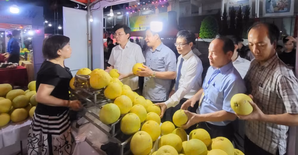 Hội chợ thương mại sản phẩm OCOP, sản phẩm công nghiệp nông thôn tiêu biểu và sản phẩm chủ lực Hà Tĩnh năm 2024 thu hút sự tham gia của hơn 100 gian hàng.