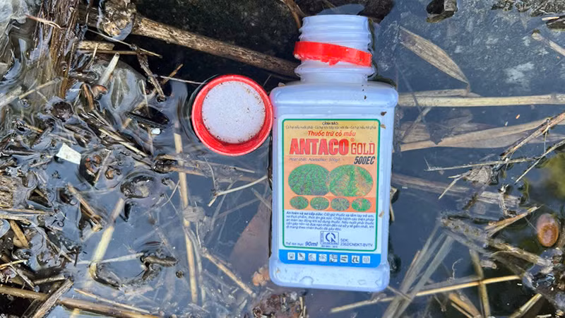 Vỏ thuốc bảo vệ thực vật bị vứt bừa bãi xuống lòng kênh.