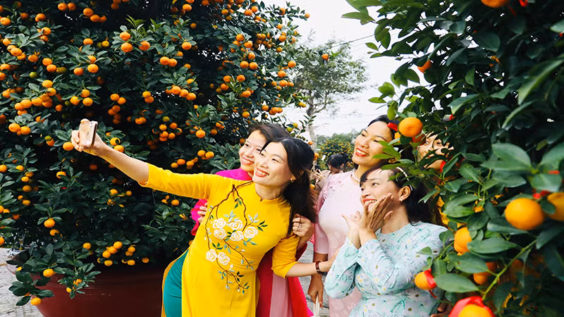 Ngày Hội cây quất cảnh Cẩm Hà năm 2025 với rất nhiều hoạt động thú vị, hấp dẫn để nhân dân và du khách tham gia, trải nghiệm.