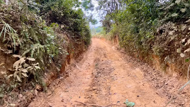Con đường dẫn vào địa điểm khai thác đất, đá trái phép tại khu vực giáp ranh giữa địa phận thị trấn Phú Thịnh, huyện Phú Ninh và xã Tiên Phong, huyện Tiên Phước.