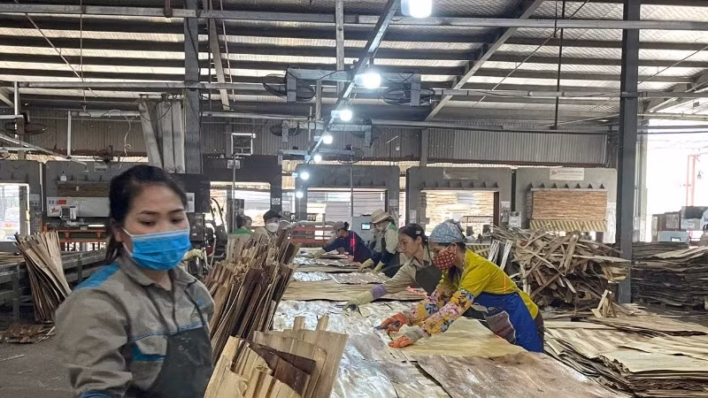 Sản xuất ván ép xuất khẩu tại Công ty cổ phần Sơn Thủy, tỉnh Hòa Bình. (Ảnh VŨ HOÀNG )