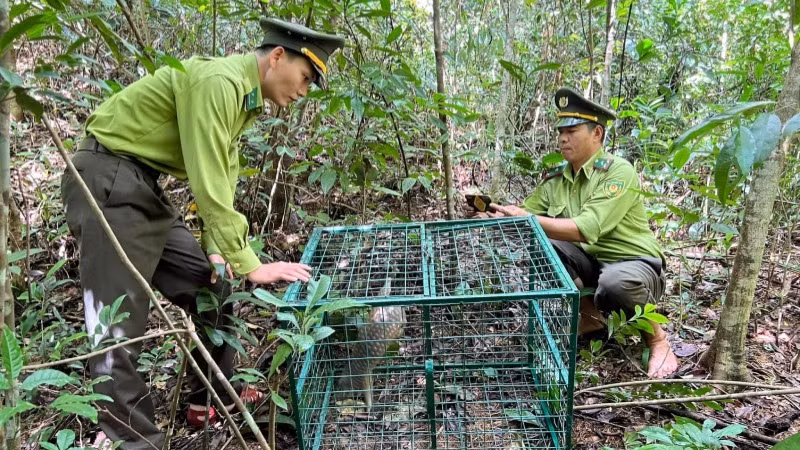 Cán bộ hạt kiểm lâm huyện Nam Đông và thành phố Huế trước đây từ đầu năm đến nay vẫn chưa được nhận lương.