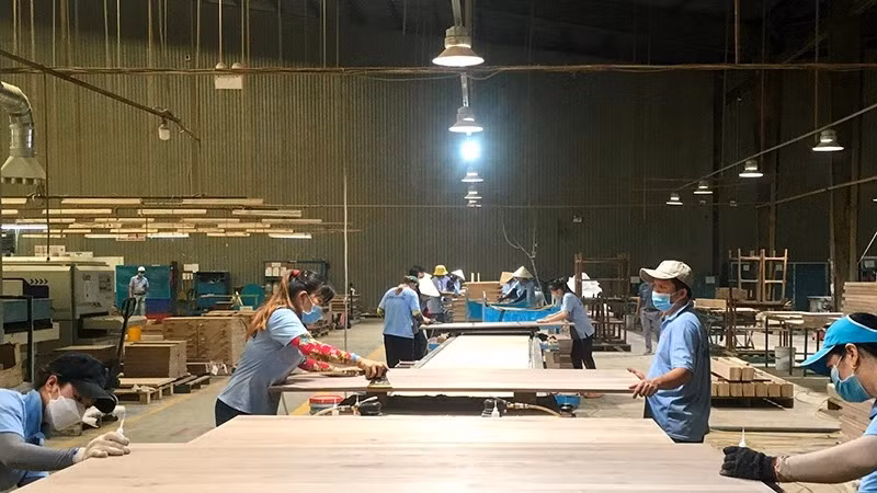Chế biến gỗ xuất khẩu tại Công ty cổ phần gỗ Minh Dương (Bình Dương). (Ảnh VŨ HOÀNG)