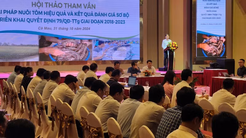 Hội thảo tham vấn về giải pháp nuôi tôm hiệu quả”, do Cục Thuỷ sản phối hợp với Sở Nông nghiệp và Phát triển nông thôn tỉnh Cà Mau tổ chức ngày 31/10. Hội thảo tham vấn về giải pháp nuôi tôm hiệu quả”, do Cục Thuỷ sản phối hợp với Sở Nông nghiệp và Phát triển nông thôn tỉnh Cà Mau tổ chức ngày 31/10.