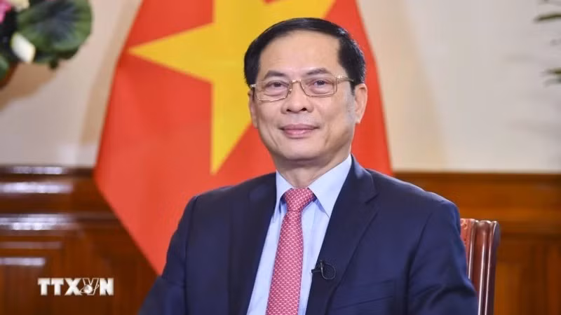 Phó Thủ tướng Chính phủ, Bộ trưởng Ngoại giao Bùi Thanh Sơn. (Ảnh: TTXVN)