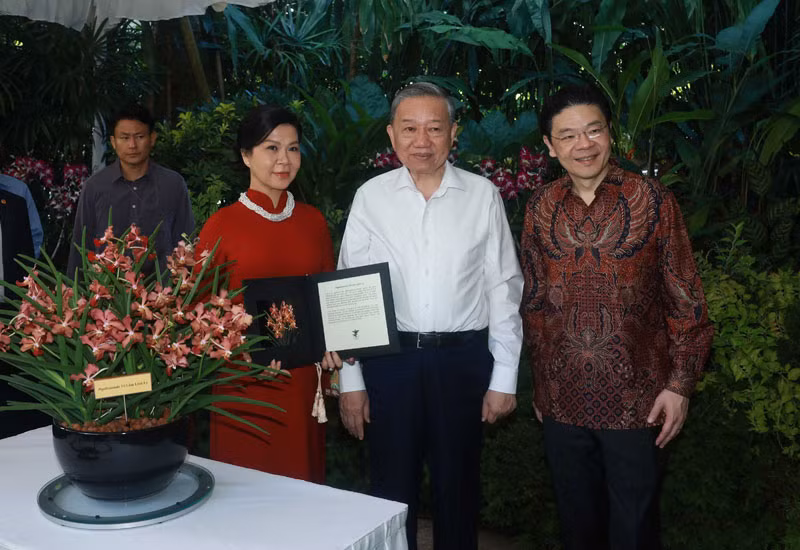 Tổng Bí thư Tô Lâm và Phu nhân cùng Thủ tướng Singapore Lawrence Wong dự Lễ đặt tên một loài hoa lan mới mang tên "Tô Lâm Linh Ly" tại Vườn Thực vật Singapore. (Ảnh: Thống Nhất/TTXVN) Tổng Bí thư Tô Lâm và Phu nhân cùng Thủ tướng Singapore Lawrence Wong dự Lễ đặt tên một loài hoa lan mới mang tên "Tô Lâm Linh Ly" tại Vườn Thực vật Singapore. (Ảnh: Thống Nhất/TTXVN)