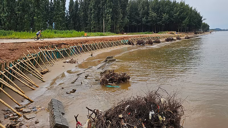 Đoạn bờ biển sạt lở đã được gia cố bước đầu. Đoạn bờ biển sạt lở đã được gia cố bước đầu.