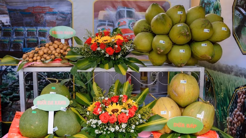 Các loại trái cây đặc sản được trưng bày rất đẹp mắt.