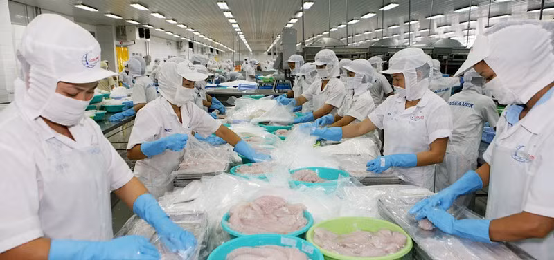 Các doanh nghiệp xuất khẩu của Việt Nam cần sớm thực hiện chuyển đổi xanh trong sản xuất nhằm đáp ứng EGD của EU.