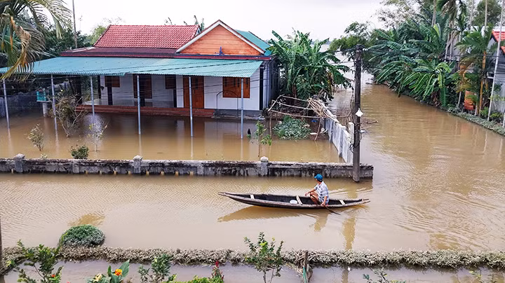 Người dân vùng hạ du sông Bồ đi lại bằng ghe khi nước lũ ngập sâu.